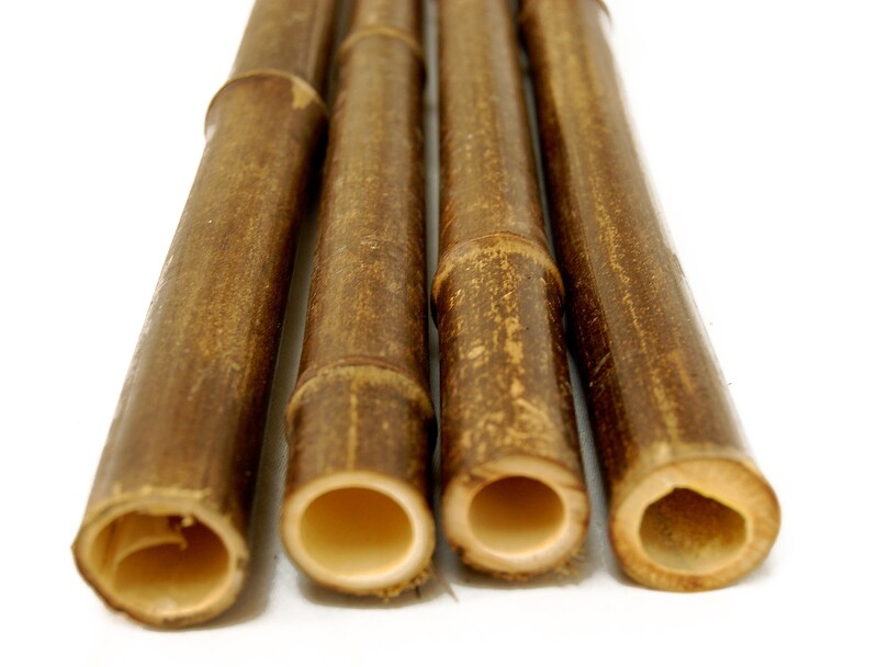 Must bambus 26-35 mm