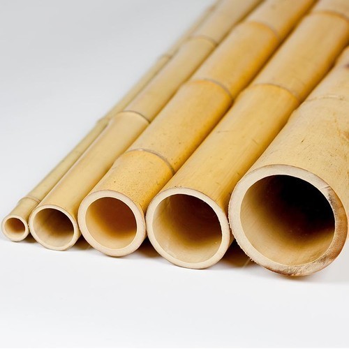 Valik naturaalseid bambustüvesid